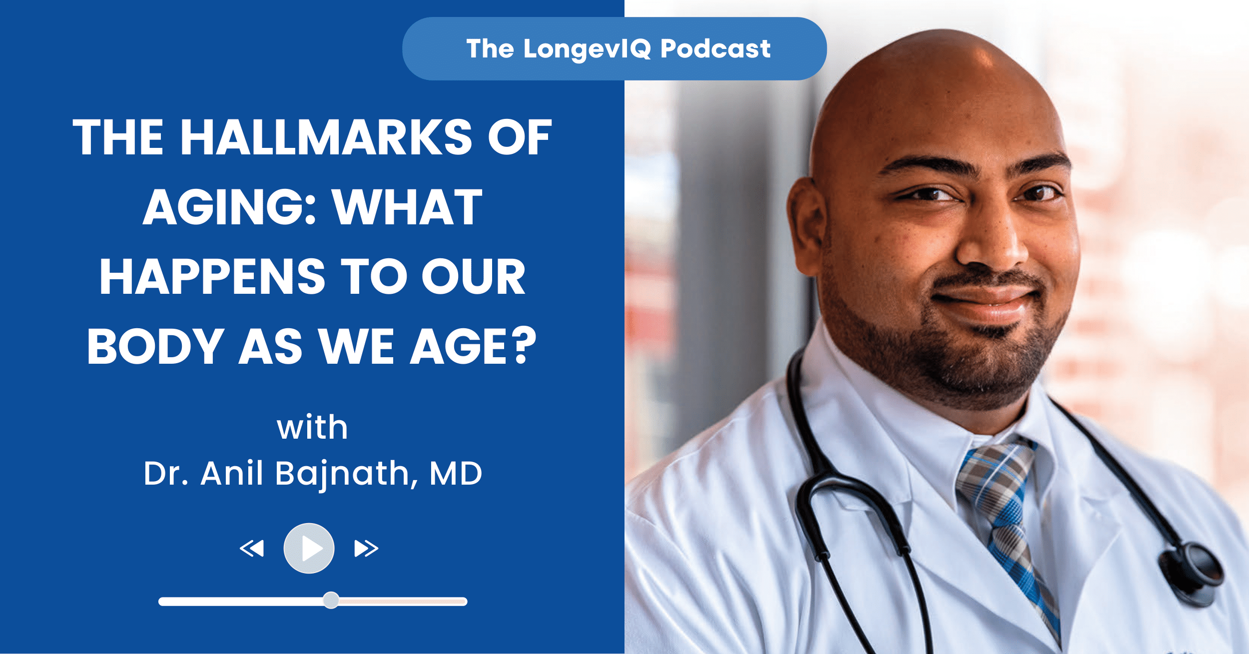 The Hallmarks of Aging What Happens to Our Body as We Age?